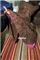 Gypsy Mama chocolate fleece baby poncho