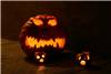 Giant pumpkin rampage 2004