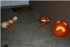 Small pumpkin revenge 2005