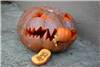 Closeup of the pumpkin violence 2005