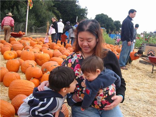 Pumpkin Patch 2005