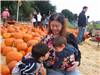 Pumpkin Patch 2005