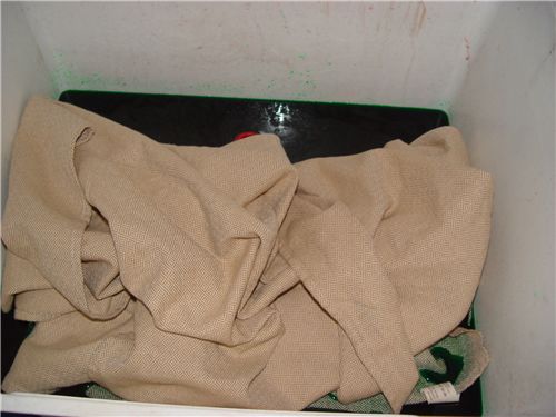 natrual leo before dyeing