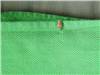 green leo storch
