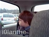 car1.jpg