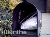 mail1.jpg