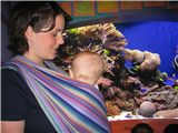 Inka and Reef Fish